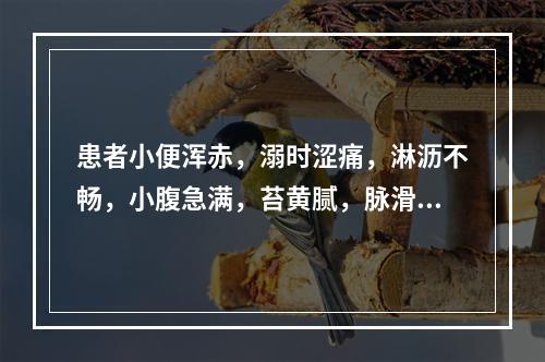 患者小便浑赤，溺时涩痛，淋沥不畅，小腹急满，苔黄腻，脉滑数，