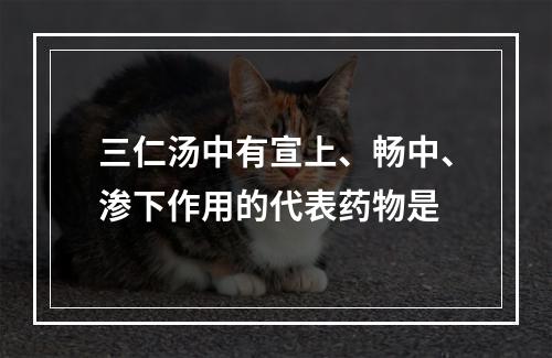 三仁汤中有宣上、畅中、渗下作用的代表药物是