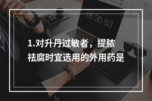 1.对升丹过敏者，提脓祛腐时宜选用的外用药是