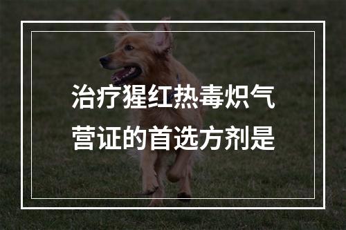 治疗猩红热毒炽气营证的首选方剂是