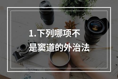 1.下列哪项不是窦道的外治法