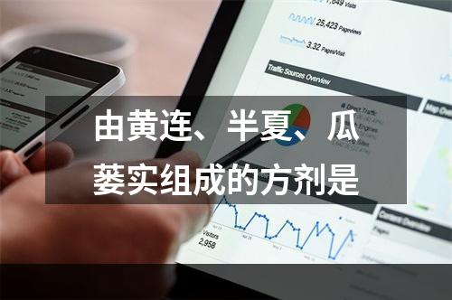 由黄连、半夏、瓜蒌实组成的方剂是