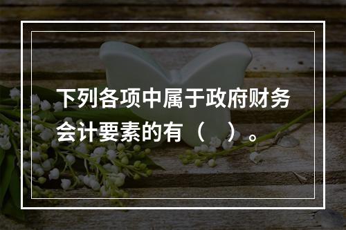 下列各项中属于政府财务会计要素的有（　）。