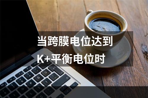 当跨膜电位达到K+平衡电位时