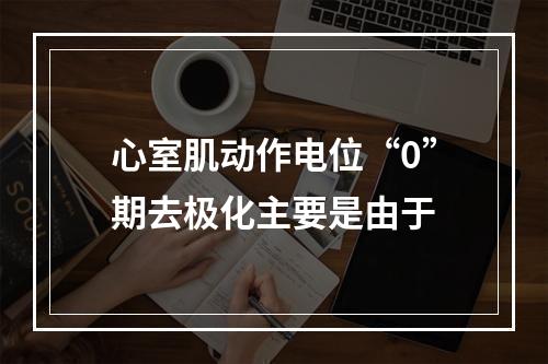 心室肌动作电位“0”期去极化主要是由于