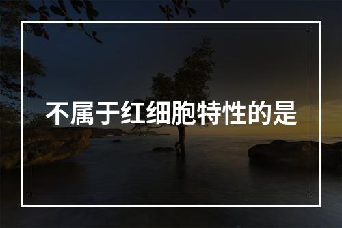 不属于红细胞特性的是