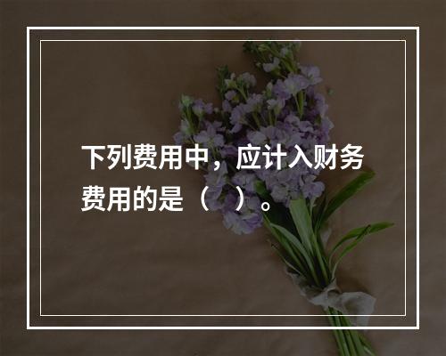 下列费用中，应计入财务费用的是（    ）。