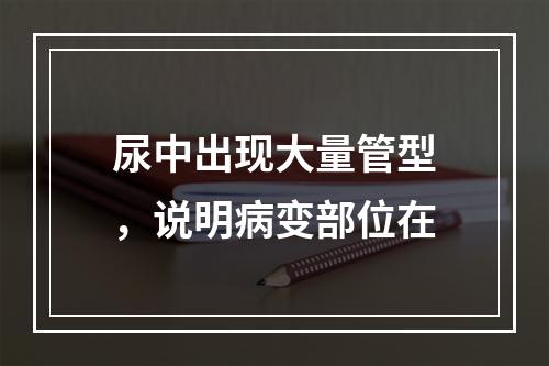 尿中出现大量管型，说明病变部位在