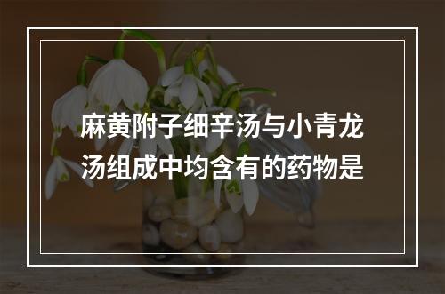 麻黄附子细辛汤与小青龙汤组成中均含有的药物是