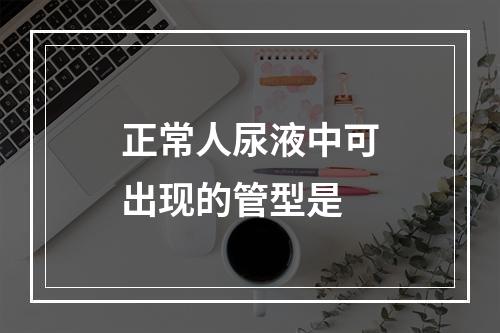 正常人尿液中可出现的管型是