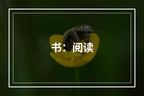 书：阅读