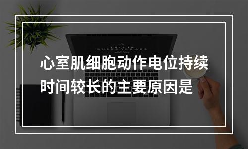 心室肌细胞动作电位持续时间较长的主要原因是