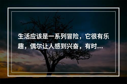 生活应该是一系列冒险，它很有乐趣，偶尔让人感到兴奋，有时却