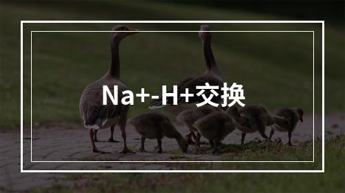 Na+-H+交换