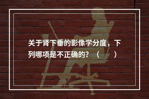 关于肾下垂的影像学分度，下列哪项是不正确的？（　　）