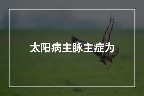 太阳病主脉主症为