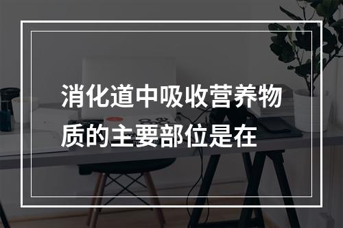 消化道中吸收营养物质的主要部位是在