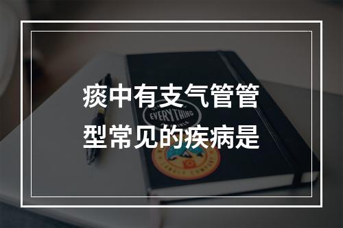 痰中有支气管管型常见的疾病是