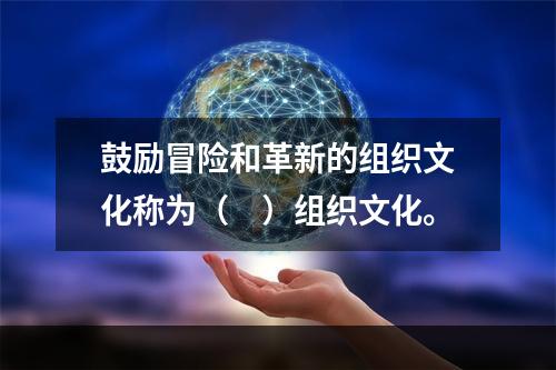 鼓励冒险和革新的组织文化称为（　）组织文化。