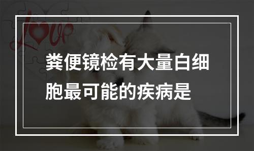 粪便镜检有大量白细胞最可能的疾病是