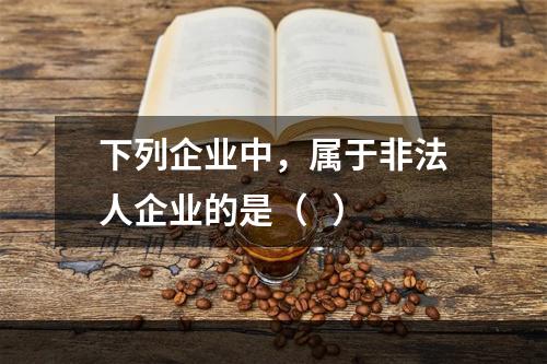 下列企业中，属于非法人企业的是（   ）