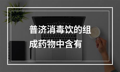 普济消毒饮的组成药物中含有