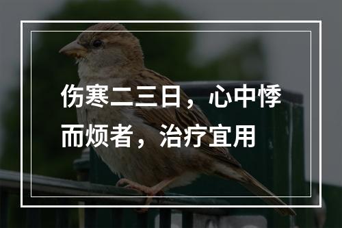 伤寒二三日，心中悸而烦者，治疗宜用