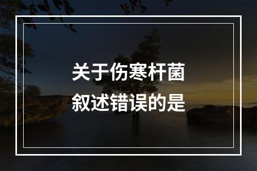 关于伤寒杆菌叙述错误的是