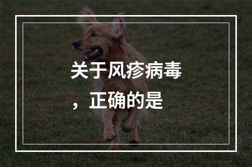 关于风疹病毒，正确的是