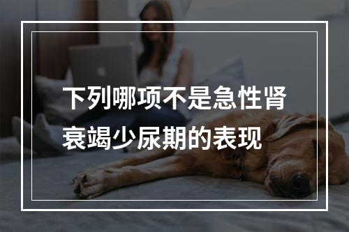 下列哪项不是急性肾衰竭少尿期的表现