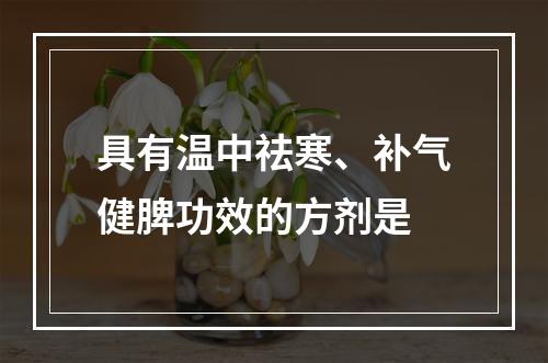 具有温中祛寒、补气健脾功效的方剂是