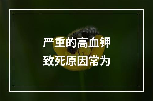 严重的高血钾致死原因常为