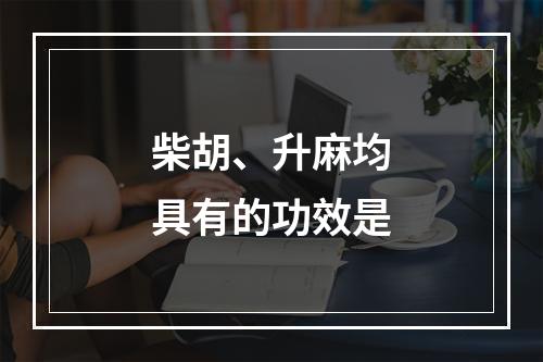 柴胡、升麻均具有的功效是