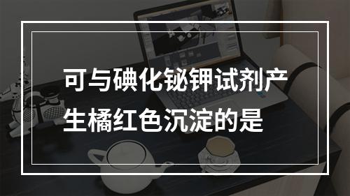 可与碘化铋钾试剂产生橘红色沉淀的是