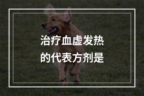 治疗血虚发热的代表方剂是