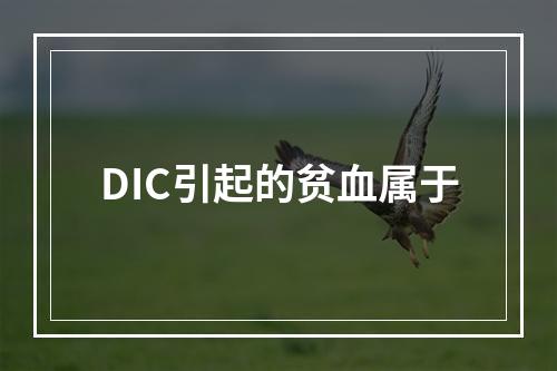 DIC引起的贫血属于