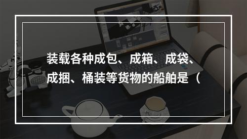 装载各种成包、成箱、成袋、成捆、桶装等货物的船舶是（