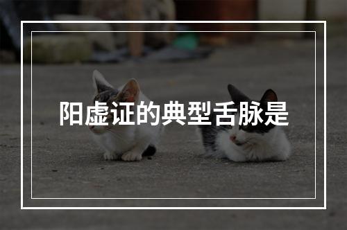 阳虚证的典型舌脉是