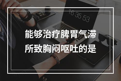 能够治疗脾胃气滞所致胸闷呕吐的是