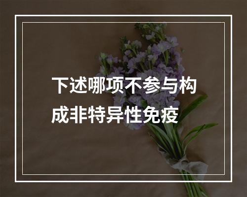 下述哪项不参与构成非特异性免疫