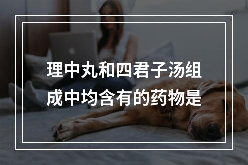 理中丸和四君子汤组成中均含有的药物是