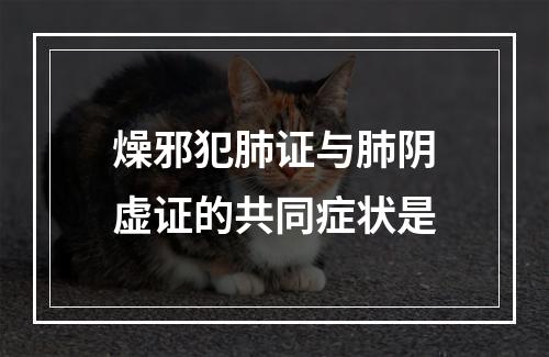 燥邪犯肺证与肺阴虚证的共同症状是