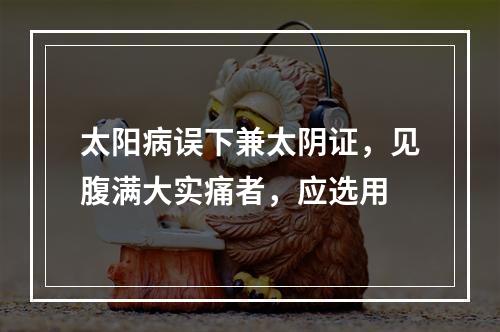 太阳病误下兼太阴证，见腹满大实痛者，应选用