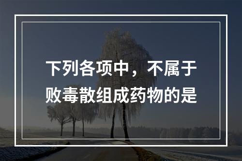 下列各项中，不属于败毒散组成药物的是