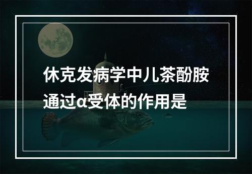 休克发病学中儿茶酚胺通过α受体的作用是