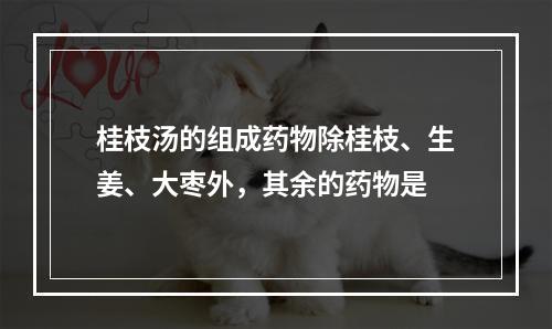 桂枝汤的组成药物除桂枝、生姜、大枣外，其余的药物是