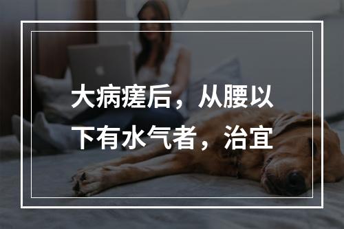 大病瘥后，从腰以下有水气者，治宜