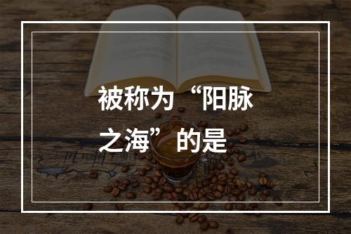 被称为“阳脉之海”的是