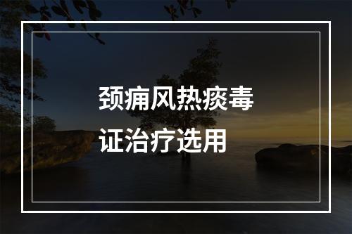 颈痈风热痰毒证治疗选用