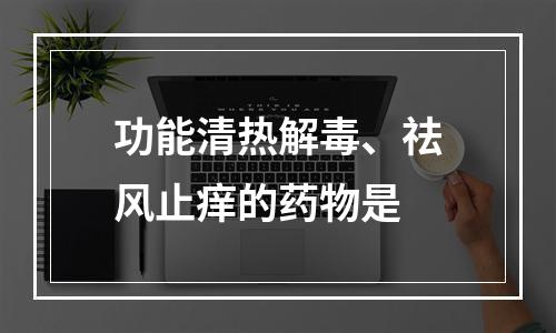 功能清热解毒、祛风止痒的药物是